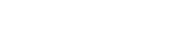 BizVoip